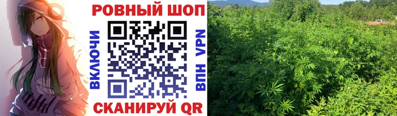 Наркотические вещества Нягань Амфетамин  Псилоцибиновые грибы  Мефедрон  Гашиш  А ПВП  КОКАИН 