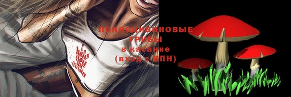 героин Алзамай
