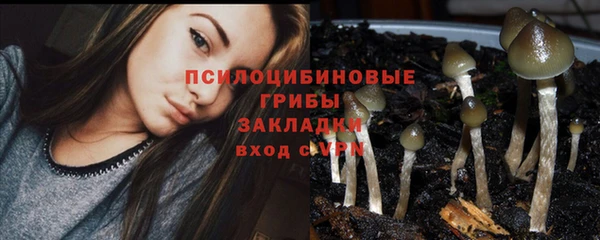 героин Алзамай
