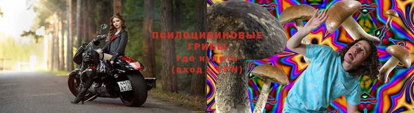 стаф Алексеевка