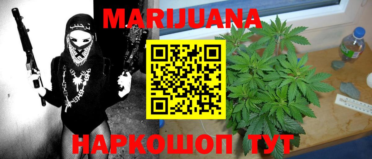 Бошки Шишки план Нягань